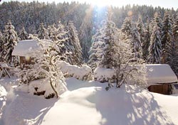 Wanderungen durch die verschneite Winterlandschaft des Bayerischen Waldes